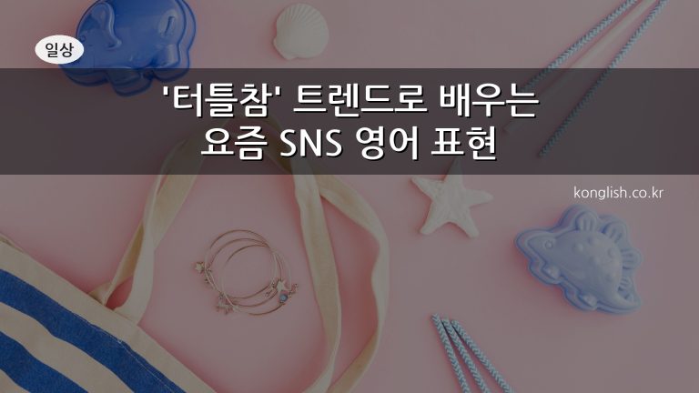 터틀참 트렌드 대표이미지